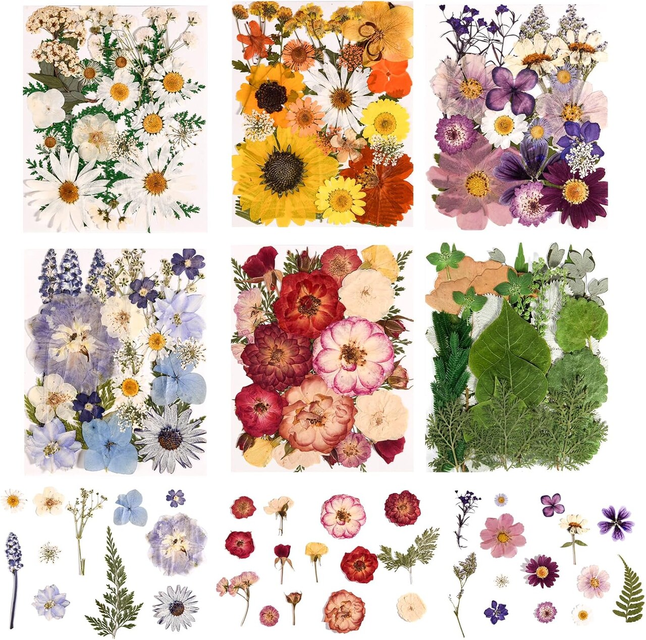 6 Pack 150PCS Real Pressed Dried Flowers Dry Leaves - Colorful